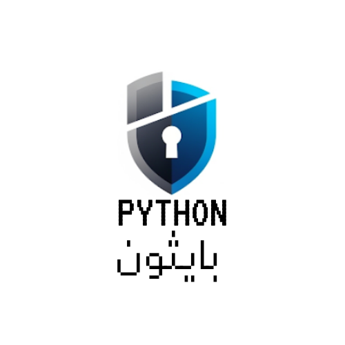 Programming For Cyber Security